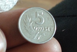 sprzedam monete 5 groszy 1968 r