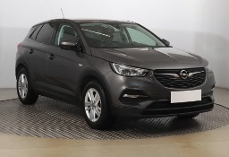 Opel Inny Opel , Salon Polska, 1. Właściciel, Serwis ASO, VAT 23%, Klima,