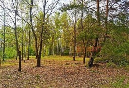 Działka budowlana Książenice