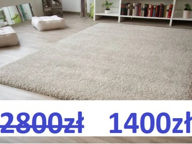 - 50 % Nowy dywan firmy Brayden Studio 240x330 cm 1400zł-1