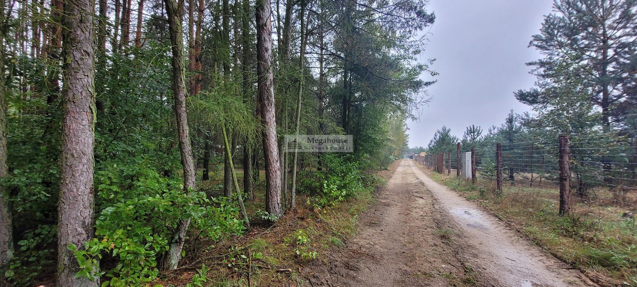 OKAZJA! Chwałowice, las, cisza, piękna lokalizacja - Widok 2