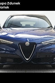 Alfa Romeo Stelvio 2.2 JTDM aut-2