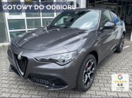 Alfa Romeo Stelvio 2.0 Turbo Veloce Q4 2.0 Turbo Veloce Q4 (280KM) System kontroli pręd