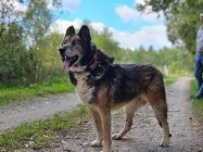 Hej ho, do Łodzi by się szło! Nanuk wędrownik szuka swojego stałego miejsca