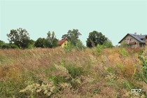 Działka rolna Wola Zabierzowska