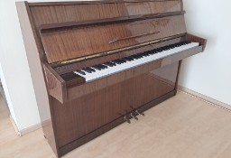 Pianino Calisia Nocturn 105