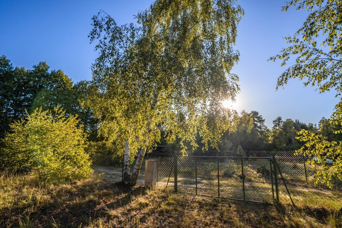 Działka która ma już wszystko oprócz właściciela - Widok 5
