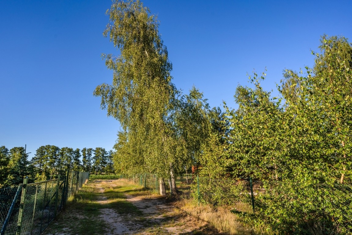 Działka która ma już wszystko oprócz właściciela - Widok 6