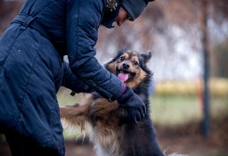 Ten Jegomość poszukuje domku - przygarniesz MacGyvera?