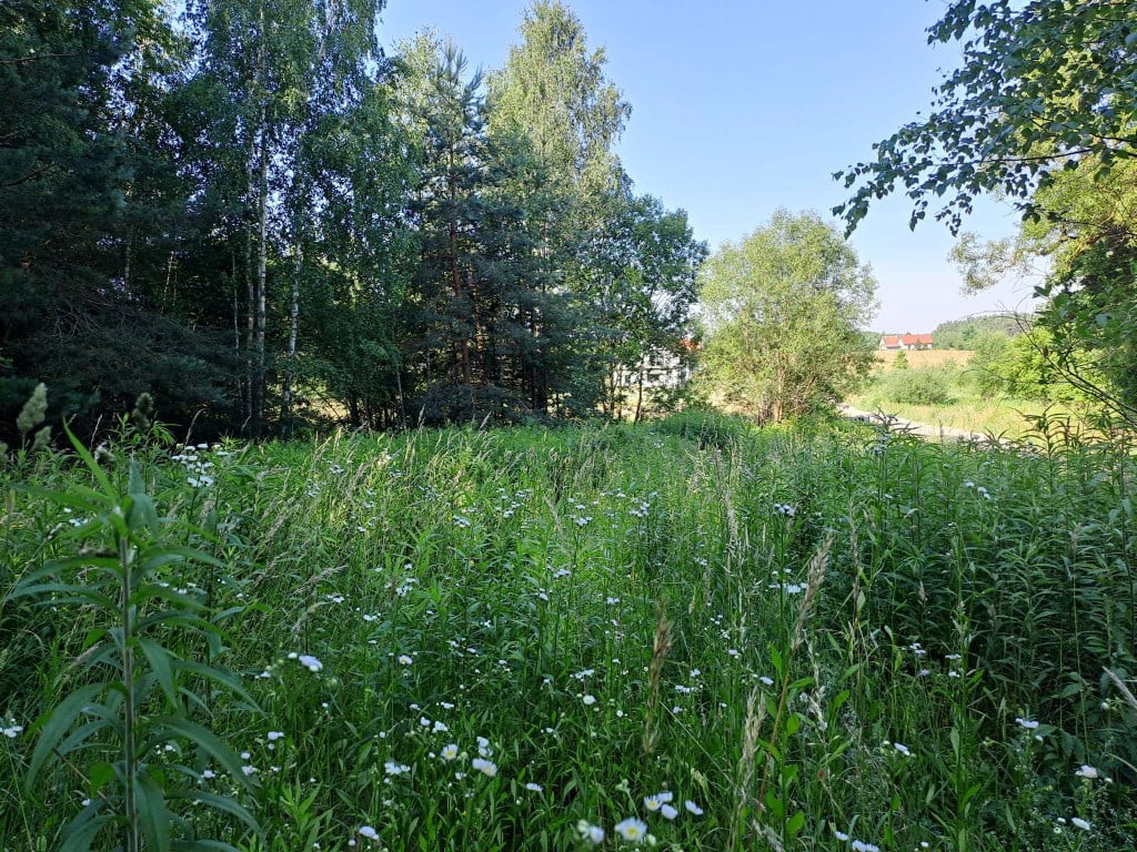 Działka budowlana w Dorotowie z wszystkimi mediami. - Widok 3