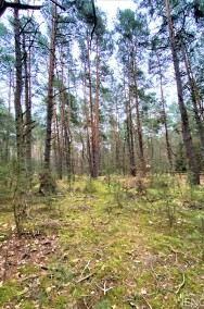 Działka leśna z możliwością rekreacji-2
