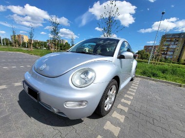 Volkswagen New Beetle-1