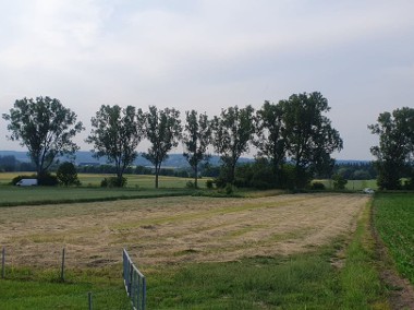 Działka rolna- Olszanica-1