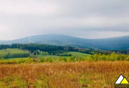 Działka budowlana Świeradów-Zdrój, ul. Jarzębinowa