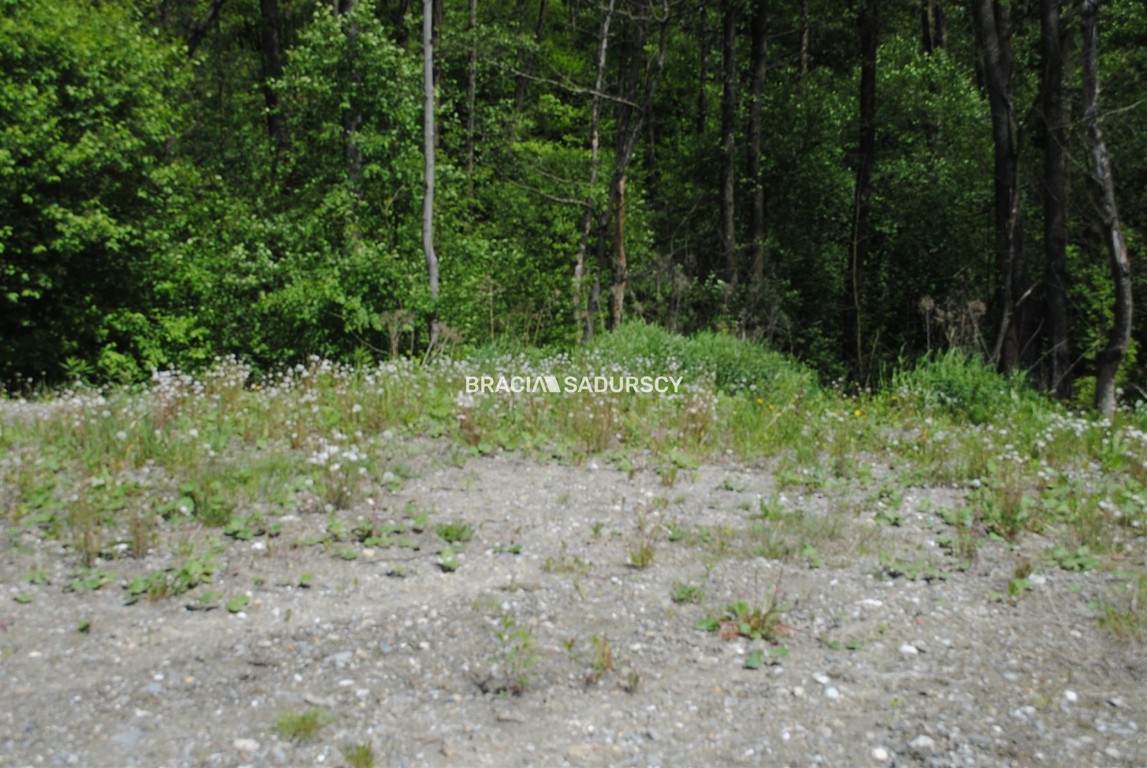 Działka budowlano rolna w Swoszowicach-Podgórki. - Widok 5