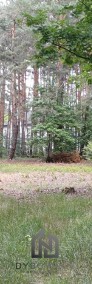 Duża działka w leśnym zaciszu Józefowa-3
