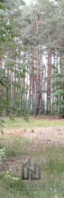 Duża działka w leśnym zaciszu Józefowa-4