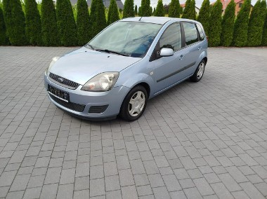Ford Fiesta VI-1