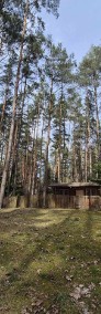 Domek rekreacyjny w lesie-3