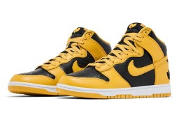 Nike DUNK High Wu-Tang Clan Black Pollen / HJ4320–001