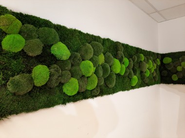 Panele mech chrobotek, poduszkowy, płaski, zielone ściany NA WYMIAR-1
