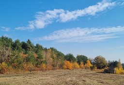 Działka budowlana Skrzeszew