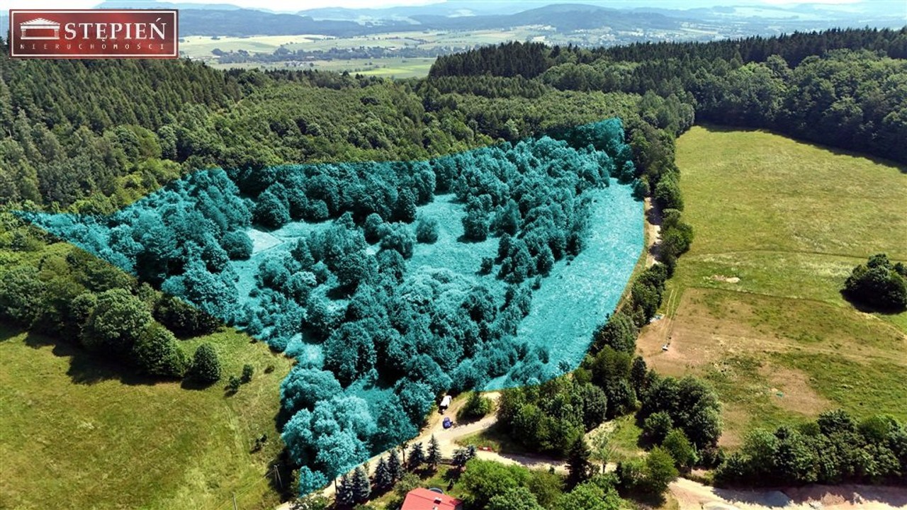 Działka na sprzedaż, 56661 m², Kamienna Góra Przedwojów - Widok 2