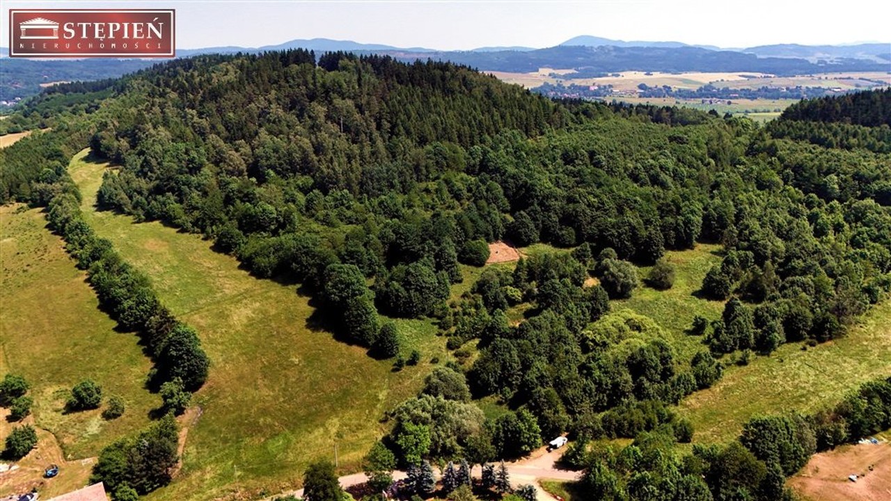 Działka na sprzedaż, 56661 m², Kamienna Góra Przedwojów - Widok 3