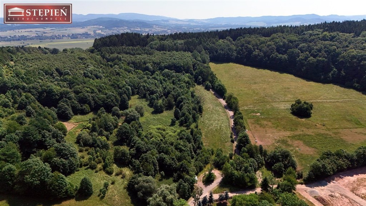 Działka na sprzedaż, 56661 m², Kamienna Góra Przedwojów - Widok 4