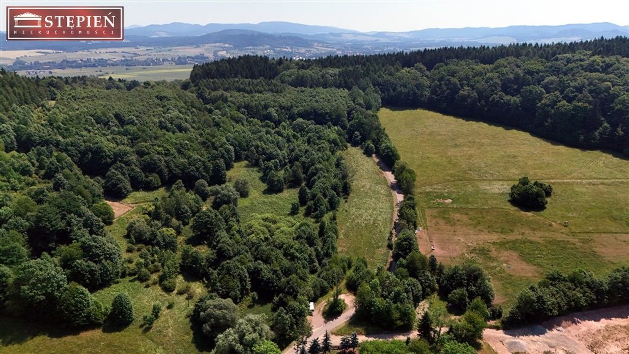 Działka na sprzedaż, 56661 m², Kamienna Góra Przedwojów - Widok 5
