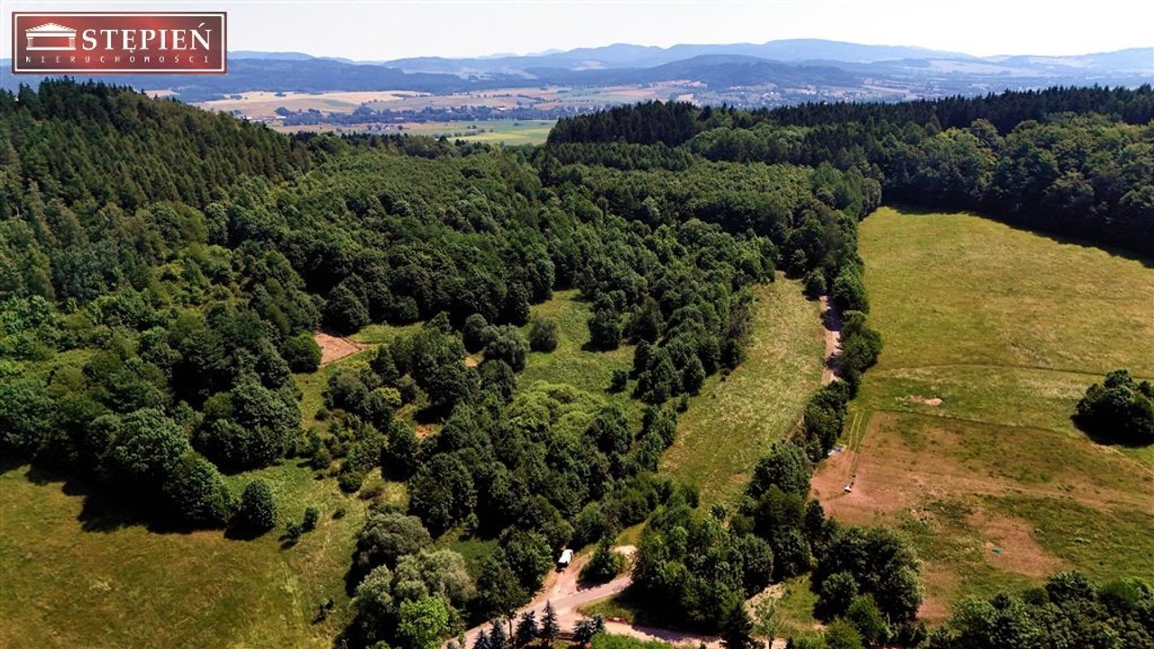 Działka na sprzedaż, 56661 m², Kamienna Góra Przedwojów - Widok 6