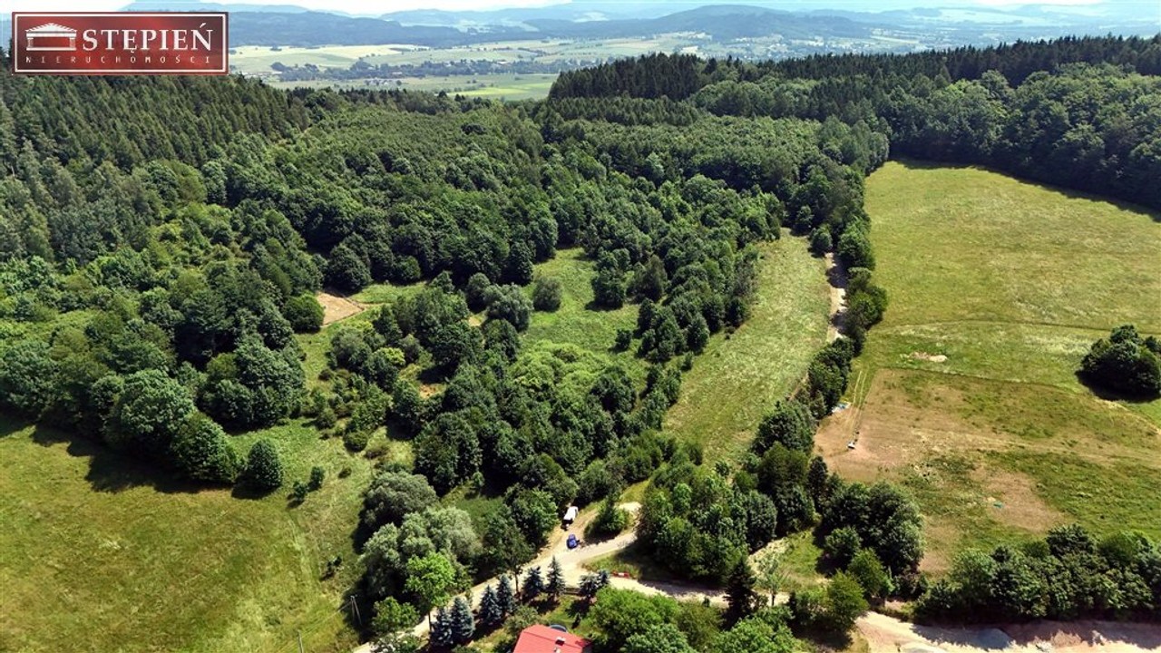 Działka na sprzedaż, 56661 m², Kamienna Góra Przedwojów - Więcej