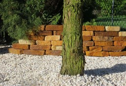 Piaskowiec polski francuz kamień ogrodowy do ogrodu na murki skalniak
