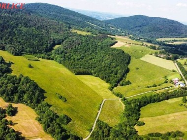 Działka rolno- leśna 10 hektarów w Łosiu-1