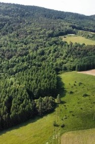 Działka rolno- leśna 10 hektarów w Łosiu-2