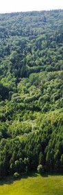Działka rolno- leśna 10 hektarów w Łosiu-3
