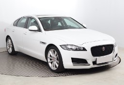 Jaguar XF X260 , 300 KM, Automat, Skóra, Navi, Xenon, Bi-Xenon, Klimatronic,