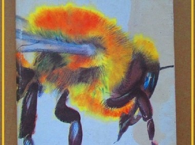 Hodowla pszczół /pszczelarstwo/pszczoły/fitoterapia/miód  -1