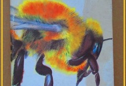 Hodowla pszczół /pszczelarstwo/pszczoły/fitoterapia/miód  