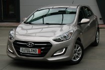 Hyundai i30 II Bezwypadkowy-Maly przebieg-Super stan-GWARANCJA !!!
