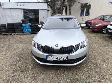 salon polski 1,6 TDI Ambition Automat DSG-1