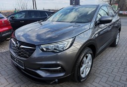 Opel Grandland X 1.5 CDti 130 KM Led Navi Acc Pdc Line Assist !