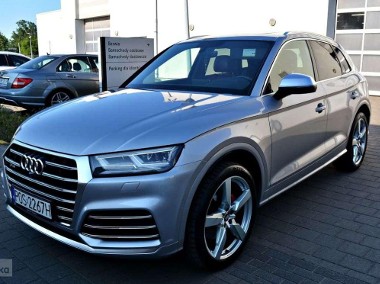 Audi SQ5 I (8R)-1