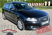 Audi A3 II (8P) 1.8Turbo DUDKI11 Serwis,Klimatr 2 str.Panorama Dach.kredyt.OKAZJA