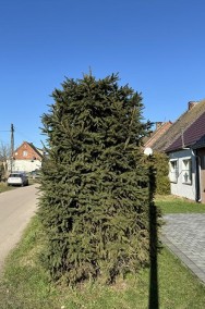 3 km od Pobierowa Cicha Zielona Okolica-2