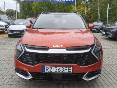 salon Polska -1