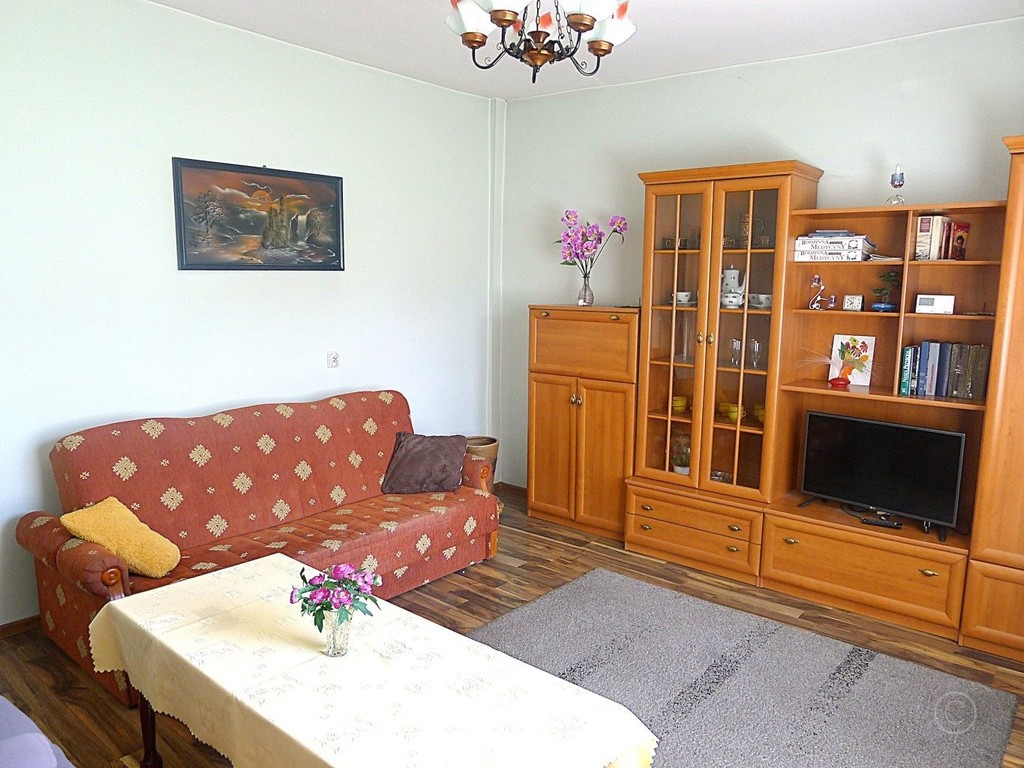 Dom dla 2 rodzin lub pod inwestycję, Działka 502 m² - Widok 4