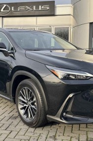 Lexus NX NX 14- 350h Prestige 2.5 Hybrid NX 350h Prestige 2.5 Hybrid | Kamera cofani-2
