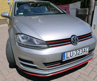 Salon, bezwypadkowy, prywatnie, 1-szy właściciel, książka, bi