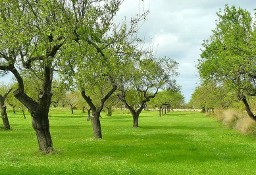 Działka inna Paulhan